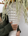03kosi_foto